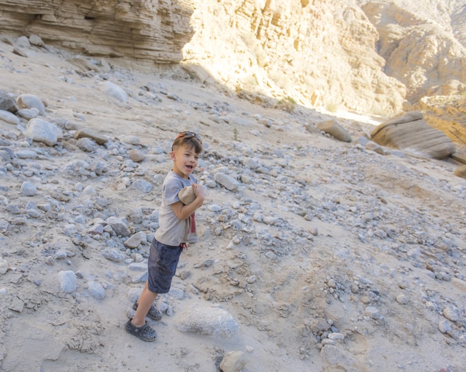 Boy collecting rocks