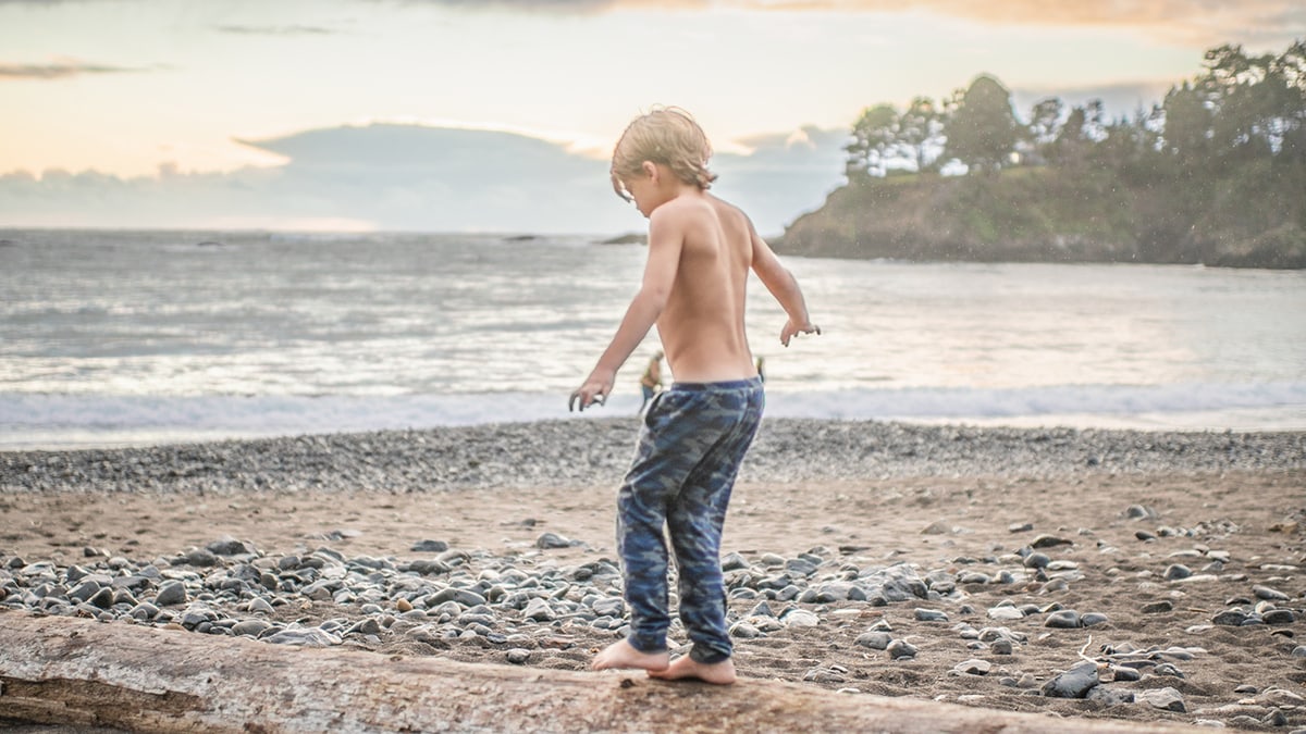 The California Ridehailing Exodus Is A Warning The Gig Economy Cannot Ignore