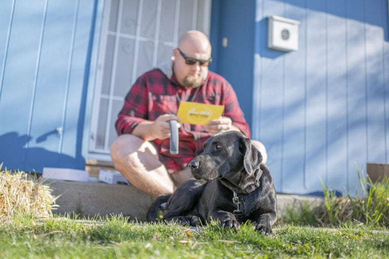 Halo Dog Collar to Free your Mind