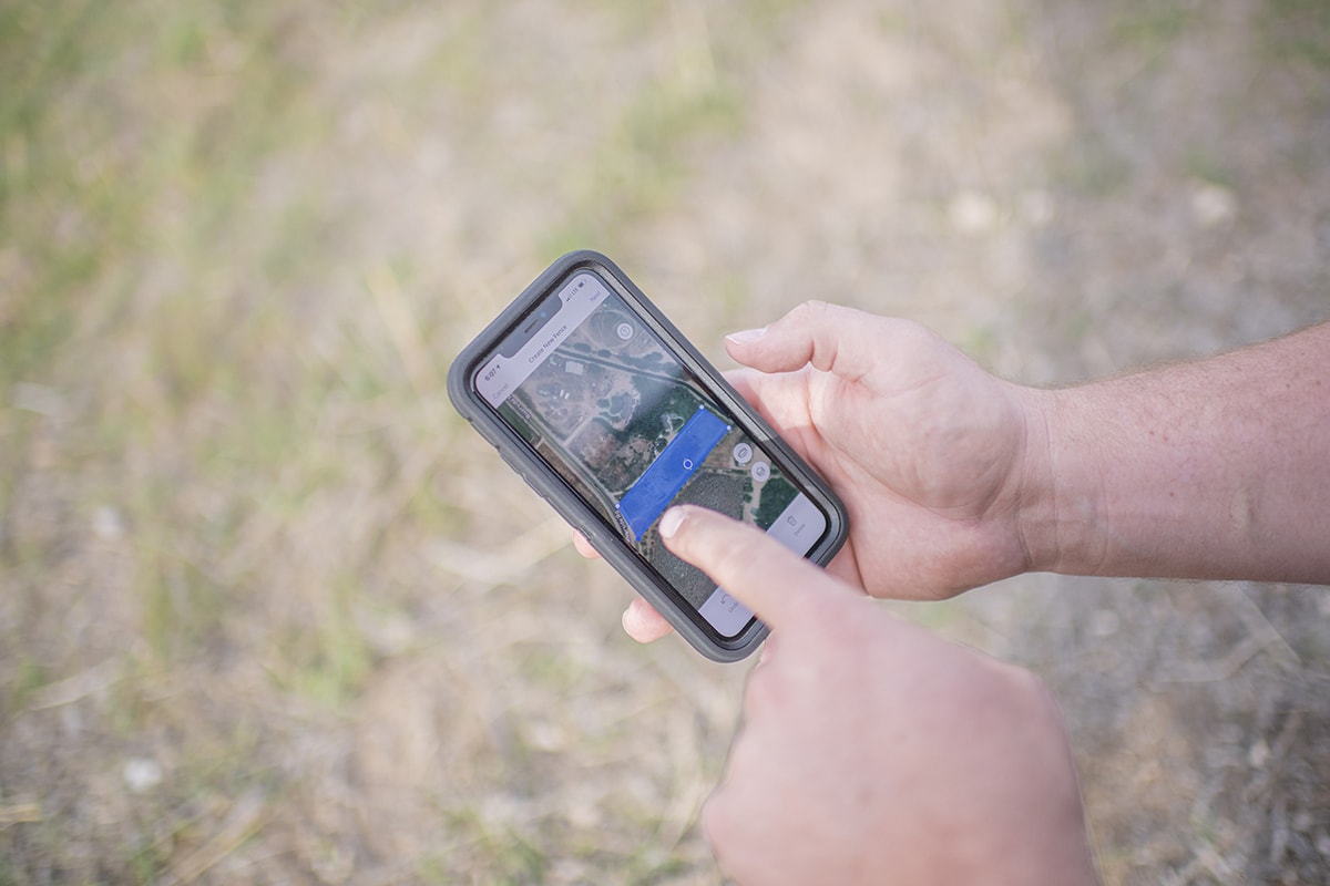 Halo Dog Collar to Free your Mind